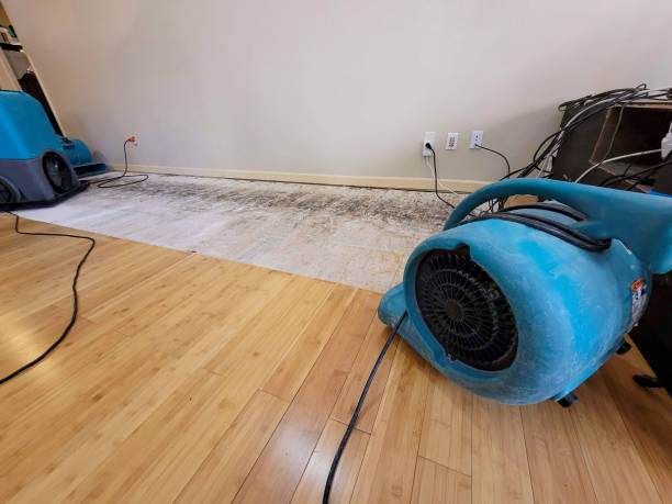 Professional Flood Damage Cleanup technician working in San Marcos, TX